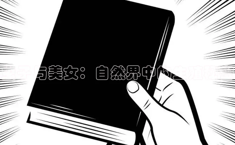 漫漫漫画app官方下载